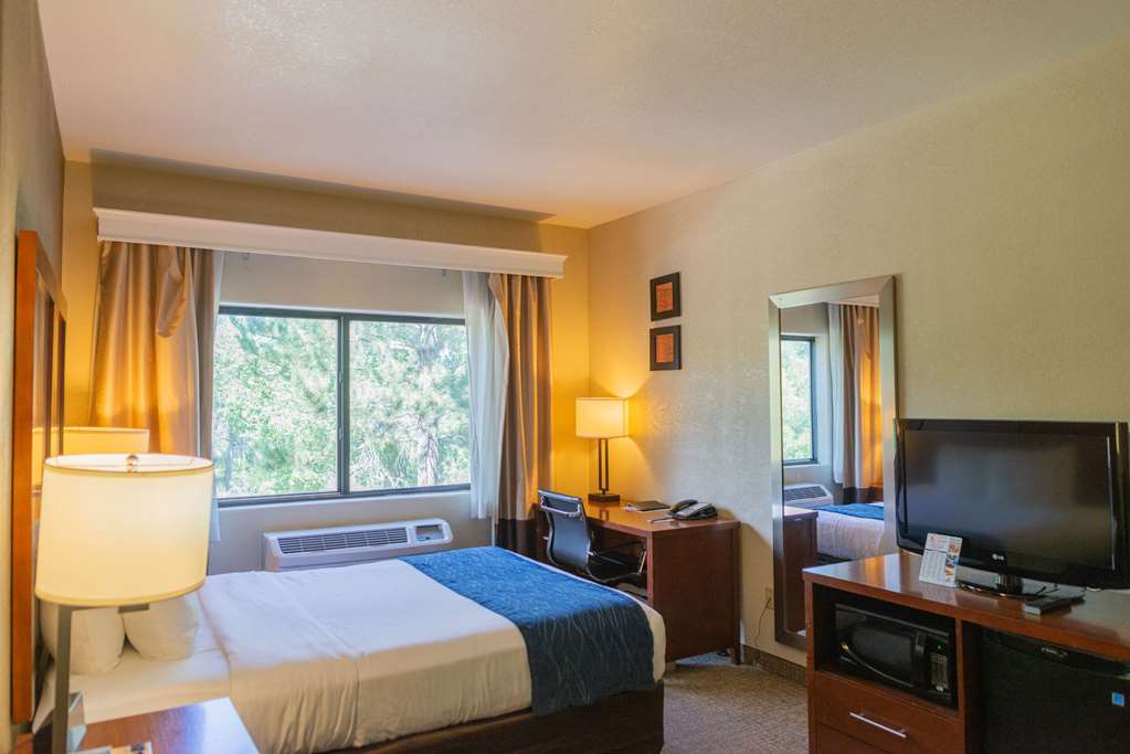 Comfort Inn North Air Force Academy Area - photo 9