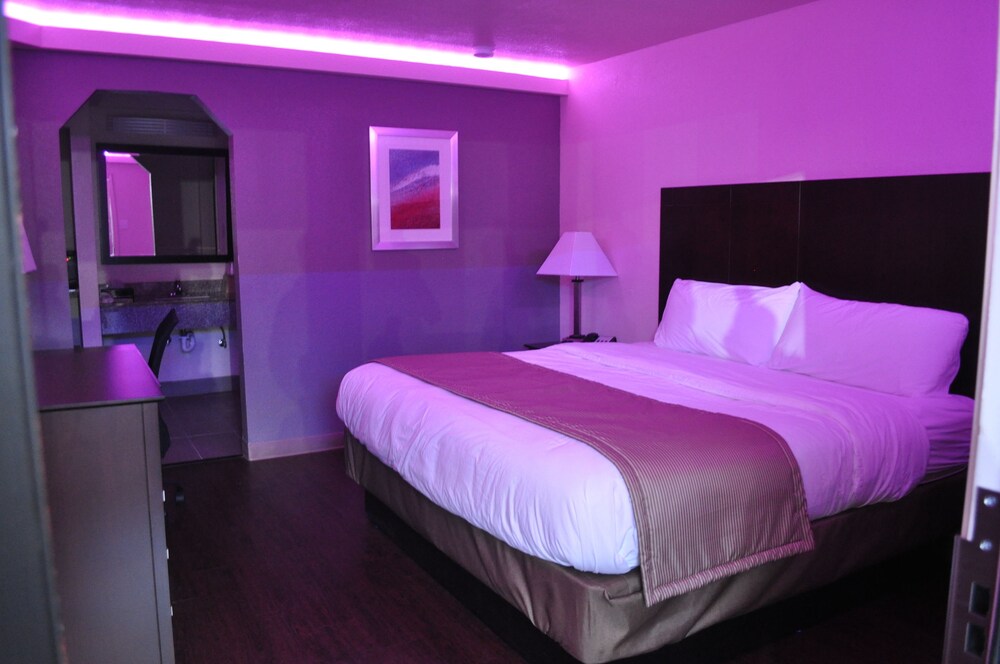 Trinity Suites Downtown Dallas - photo 5