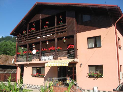 Pensiune Maria — hotel in Rucar