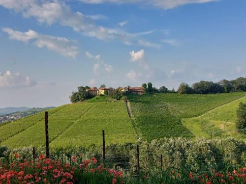 Tenuta Montanello B&B — 4-Star Luxury Hotel in Castiglione Falletto, Italy