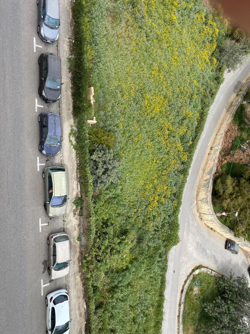No.48 Apartments — Imsida — photo 2