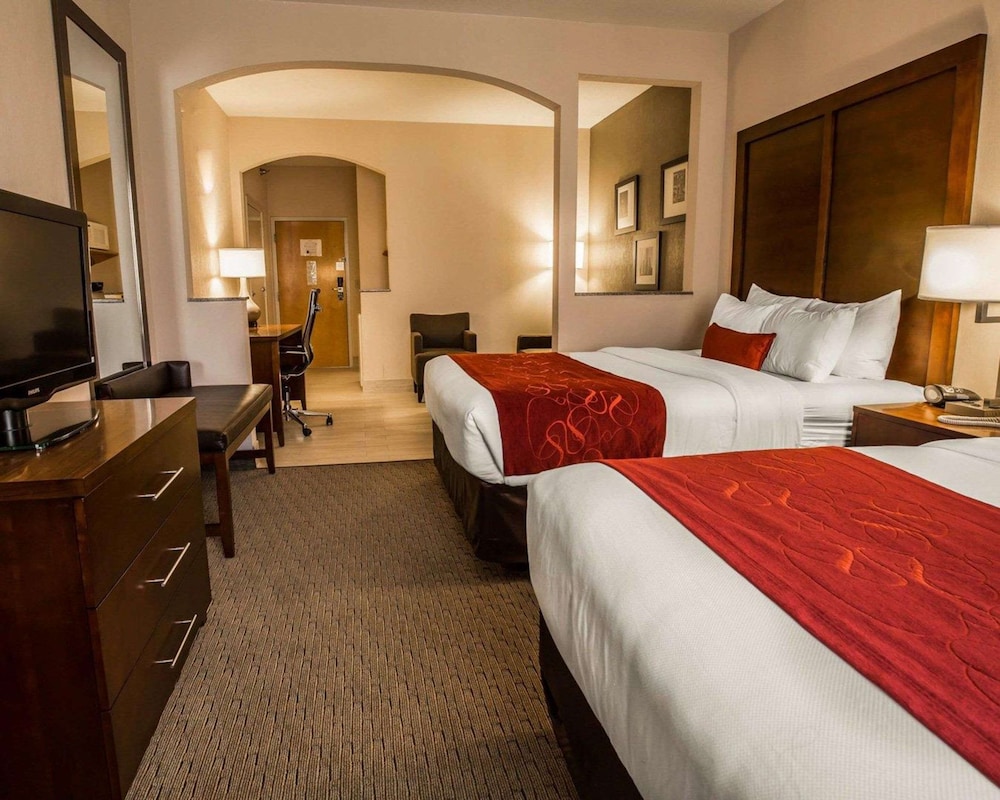 Comfort Suites Stafford Near Sugarland - photo 8
