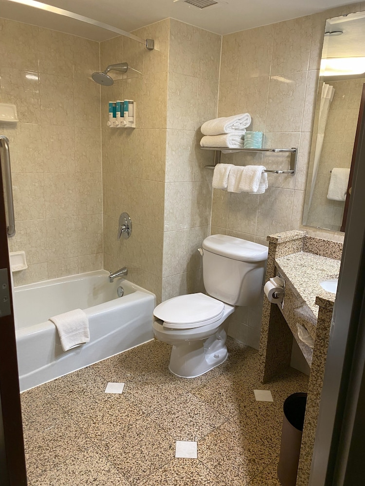 Hotel Indigo Detroit North Troy by IHG - photo 43