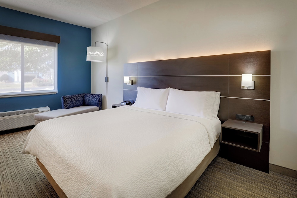 Holiday Inn Express Hotel & Suites Gadsden W Near Attalla by IHG - photo 36