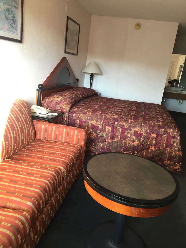 Shelaine Inn - photo 10