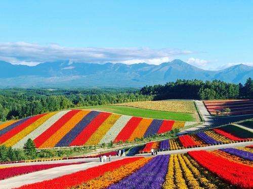 Chill Village — Furano — photo 4
