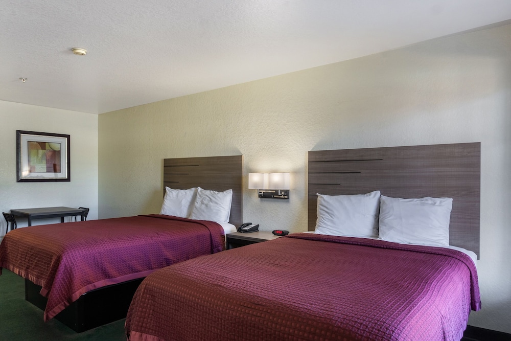 OYO Inn & Suites Medical Center San Antonio - photo 13