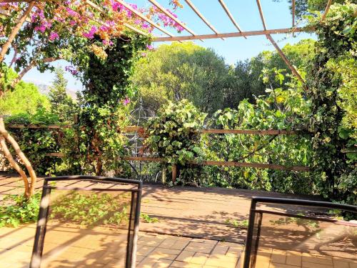 Appartement Banyuls sur Mer 2 pièces 4 personnes FR 1 309 340 — 4-Star Luxury Hotel in Banyuls De La Marenda, France