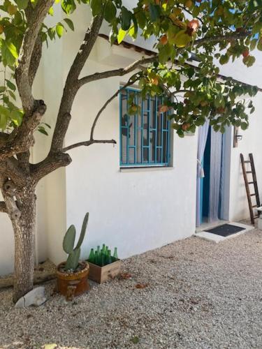 Casa Trullo Bianco: Casa Vicino — 4-Star Luxury Hotel in Ceglie Messapica, Italy