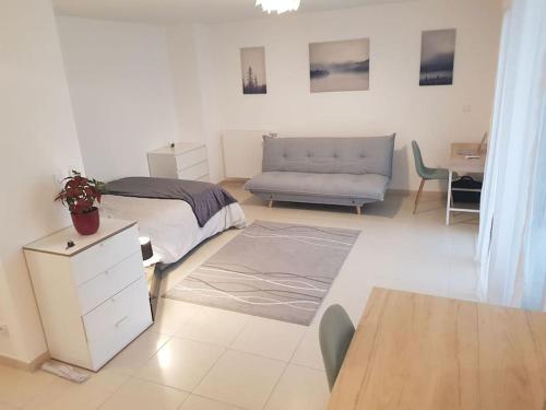 Cosy New Studio Close To Airport Un Palexpo 20894647 — Ferney Voltaire