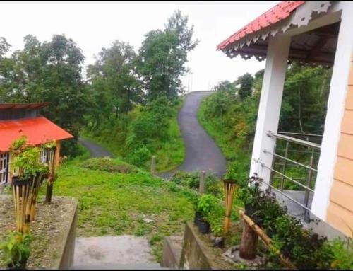Orange Orchard in Karsiyang, India