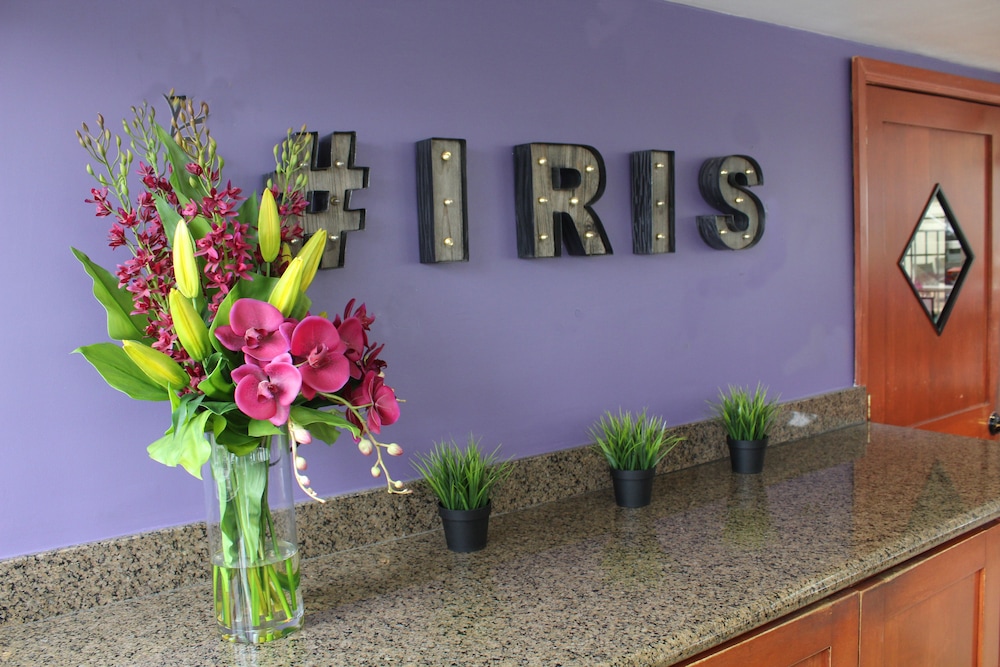 Hotel Iris San Diego - photo 4