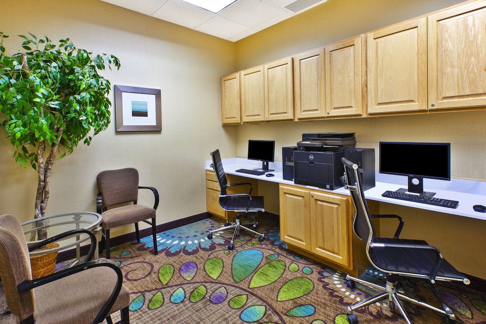 Holiday Inn & Suites Bolingbrook by IHG - photo 37