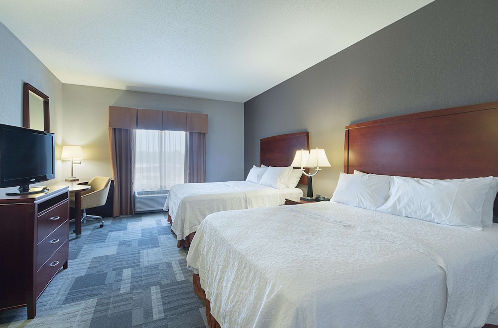Hampton Inn & Suites Indianapolis Brownsburg - photo 12