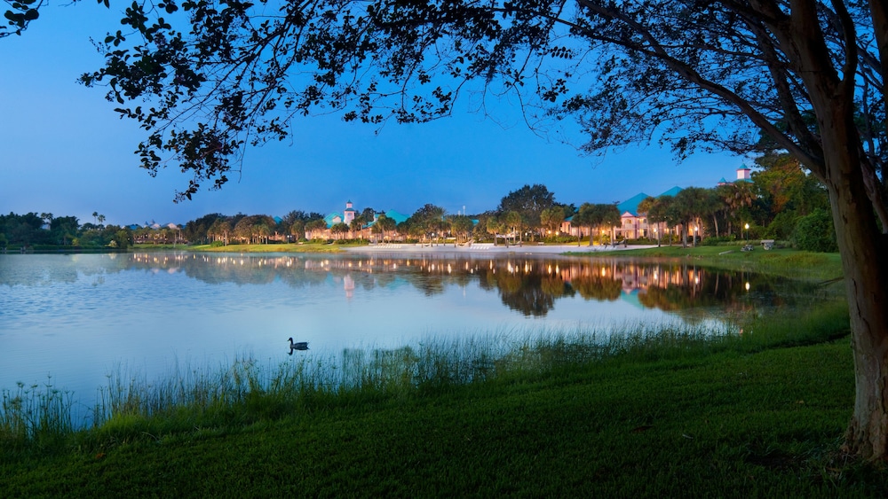 Disney's Caribbean Beach Resort - photo 26