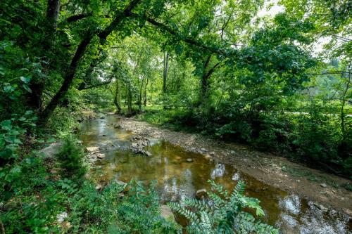 Lee's Creekside - last minute hotel in Pigeon Forge