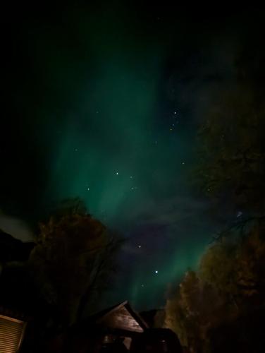 Senja Charming cottage by the sea with terrace and fantastic view — 4-Star Luxury Hotel in Finnsnes, Norway