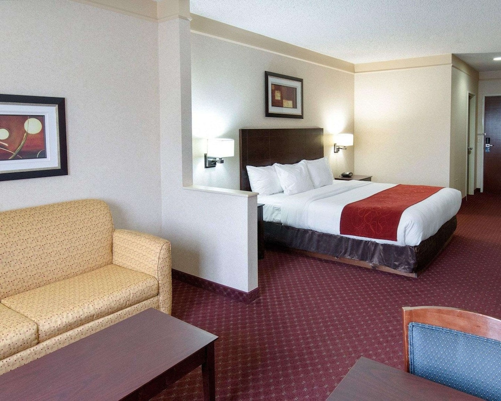 Comfort Suites Parkersburg South - photo 24