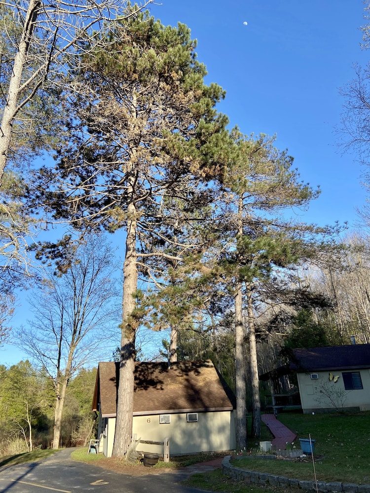 Betsie Riverside Resort - photo 201