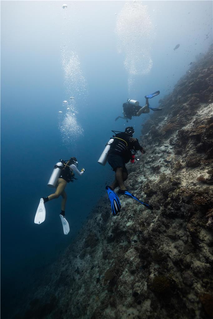 Radisson Blu Resort Maldives Group diving trip