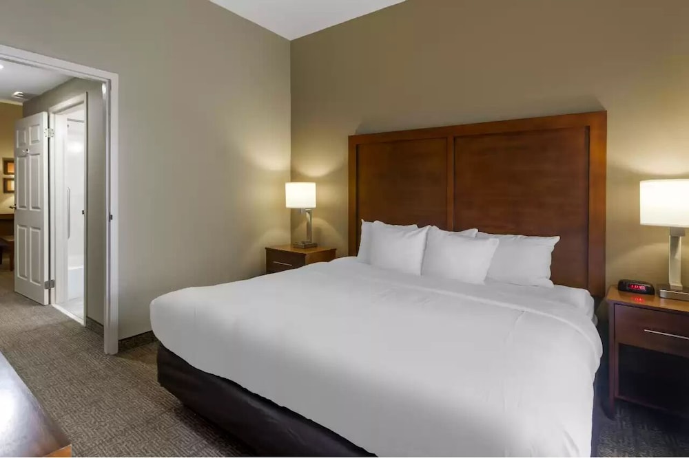 Comfort Inn & Suites Peachtree Corners Norcross - photo 9