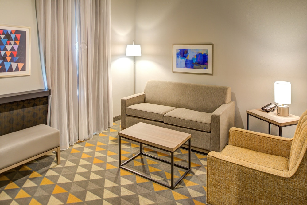 Holiday Inn Hotel & Suites Houston West Katy Mills by IHG - photo 8