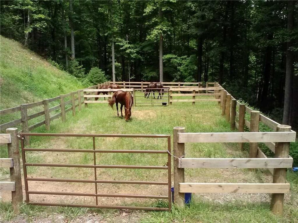 Horsin Around - photo 7