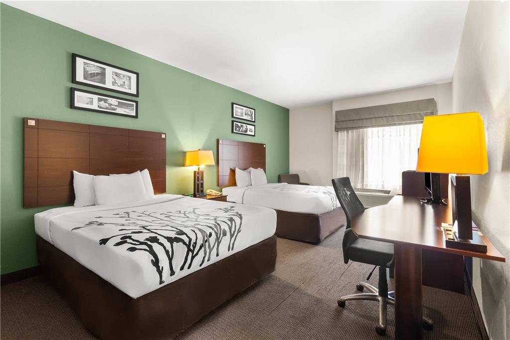 Sleep Inn & Suites Bush Intercontinental IAH East - photo 15