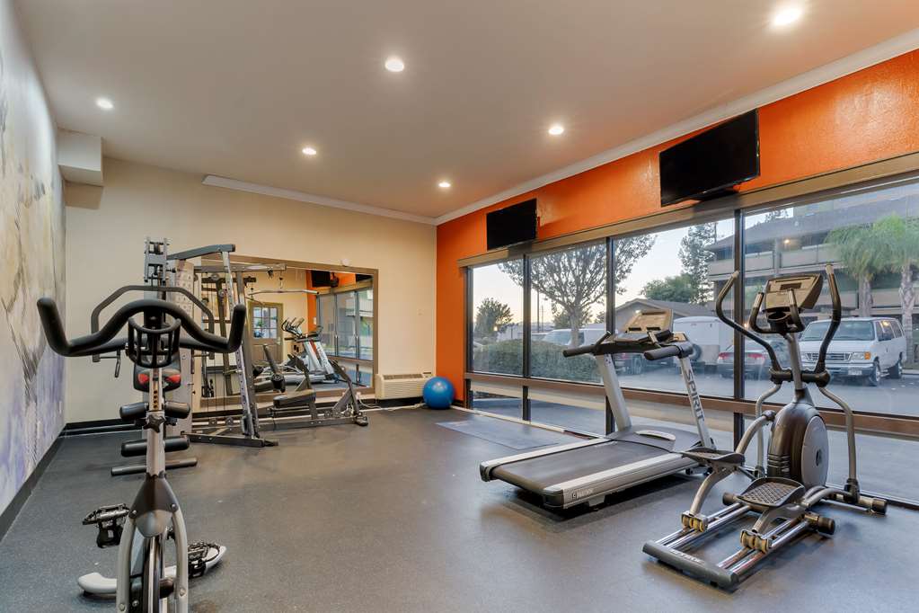 Best Western Plus Forest Park Inn - photo 8