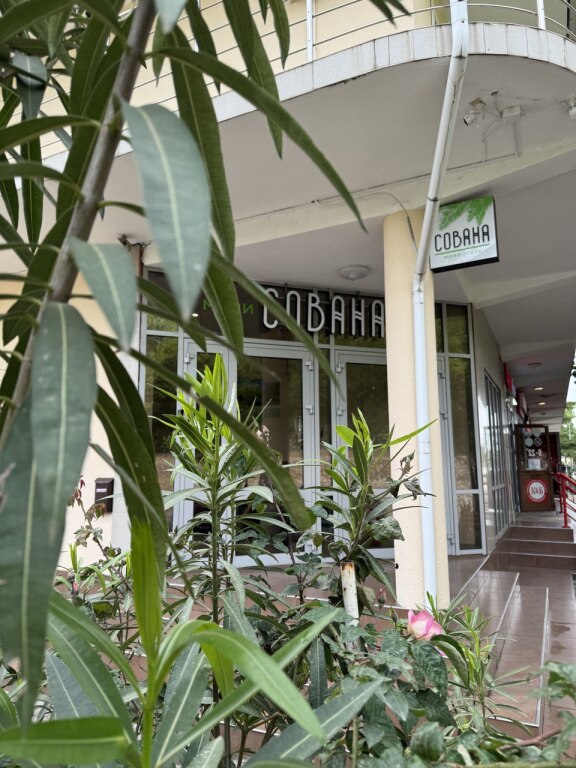 Sovana Mini Hotel - carbon neutral hotel in Sochi