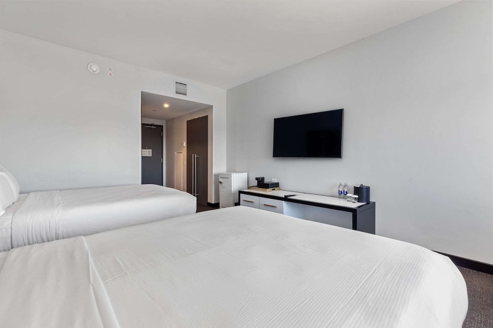 The Rose Chicago Tapestry Collection by Hilton - photo 27