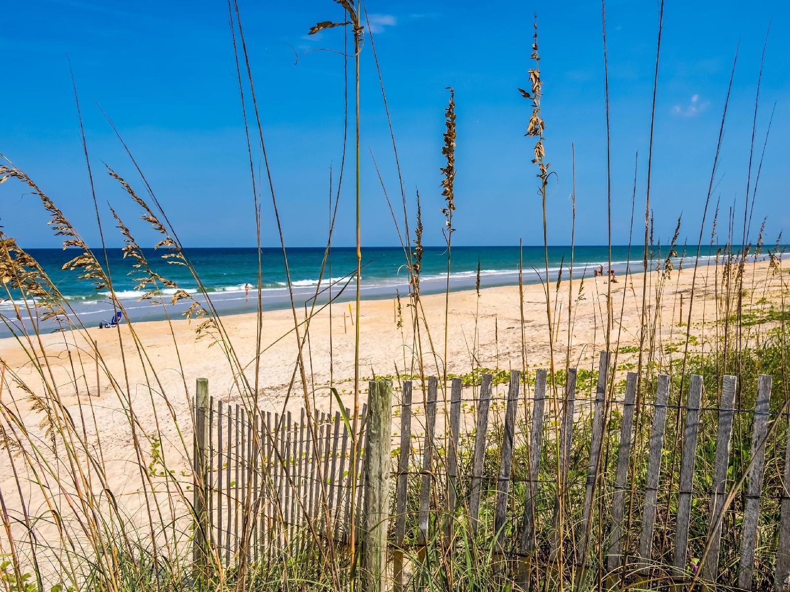 Coquina Dreams - photo 6