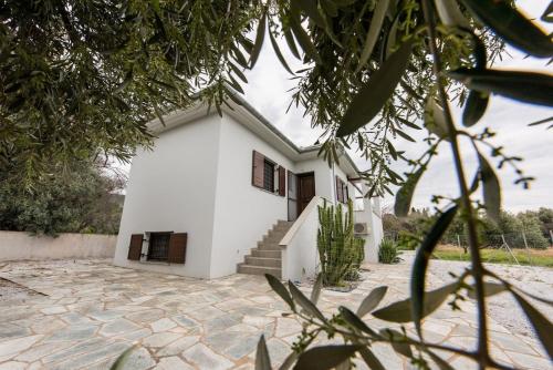 The Olive Home — 4-Star Luxury Hotel in Koropi, Greece