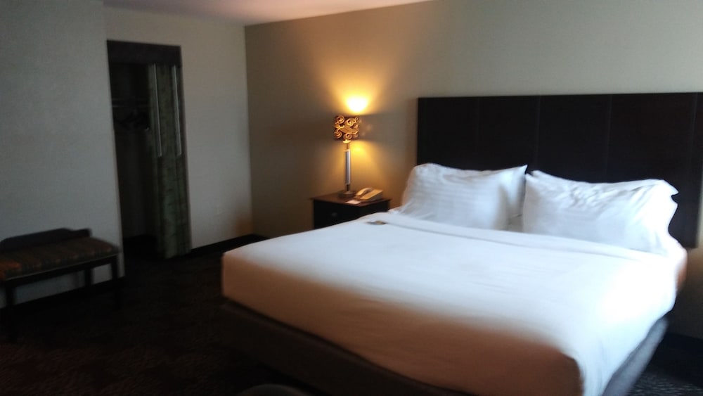 Holiday Inn Express & Suites Pittsburgh West Greentree by IHG - photo 11