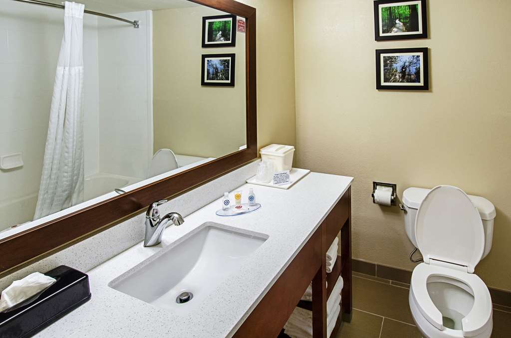 Comfort Inn & Suites Santee - photo 8