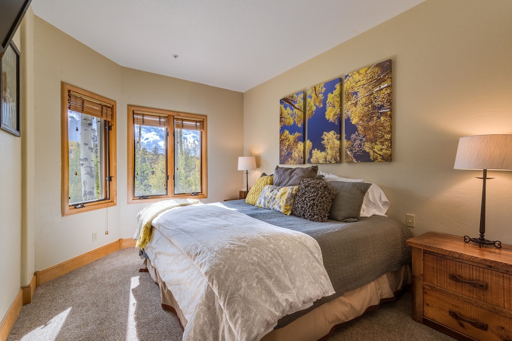 Aspen Ridge 3 In Mountain Village - photo 6
