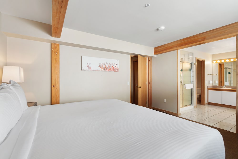 Gold Point Resort Breckenridge by Vacatia - photo 12