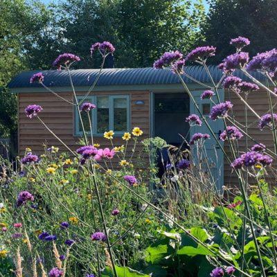 Steam and Stars Luxury Glamping — hotel in Williton