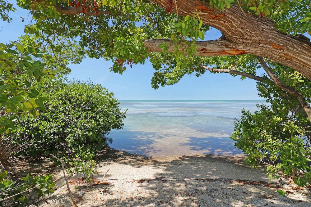 Sunshine Key RV Resort & Marina - photo 41