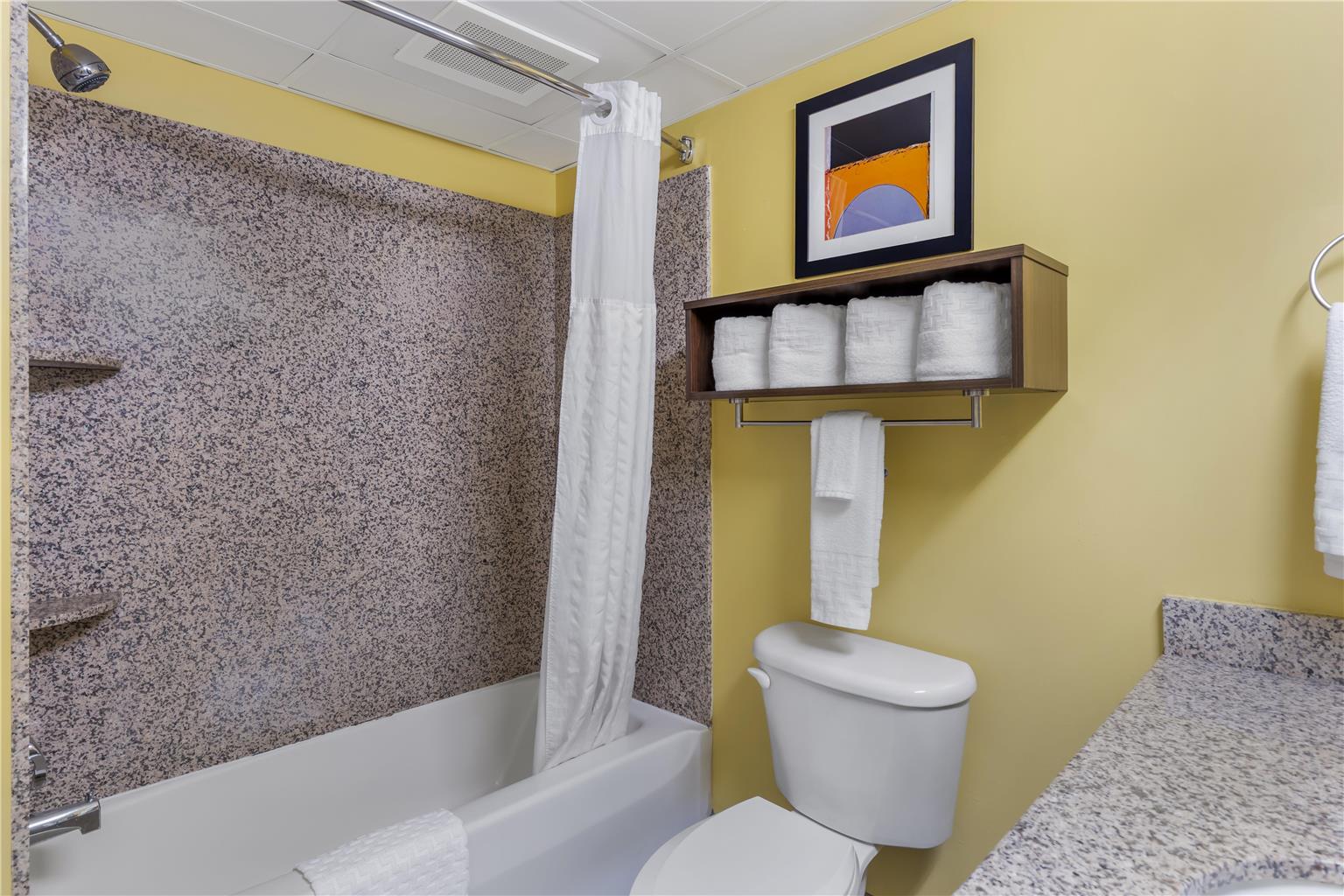 Best Western Plus Suites Greenville - photo 20