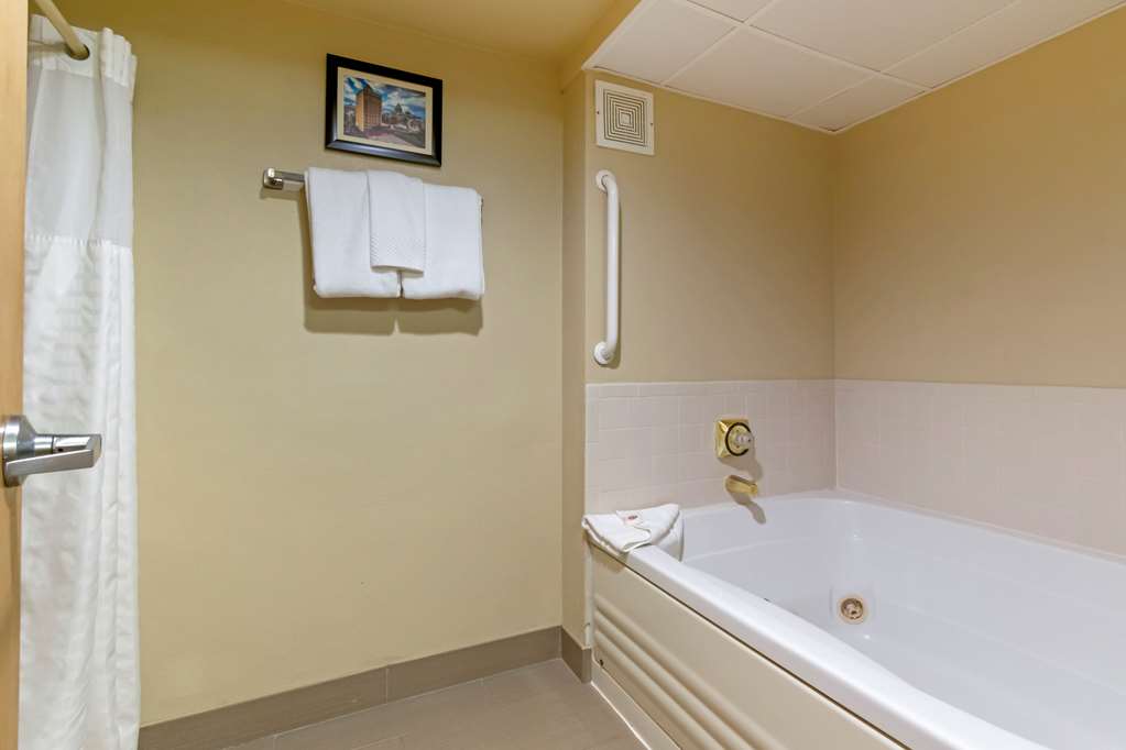 Comfort Inn Mechanicsburg Harrisburg South - photo 14