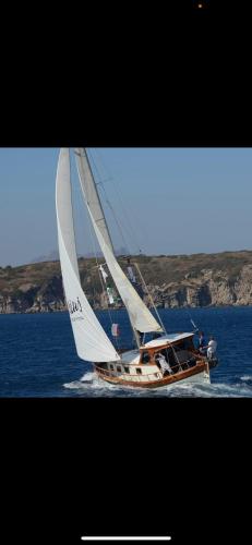 Usta k - carbon neutral hotel in Bodrum