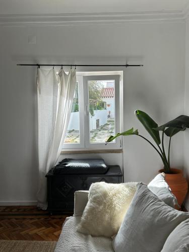 Quinta Felicidade Sea&Surf in Obidos, Portugal