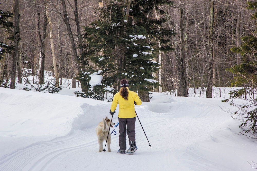 Jay Peak Resort - photo 66