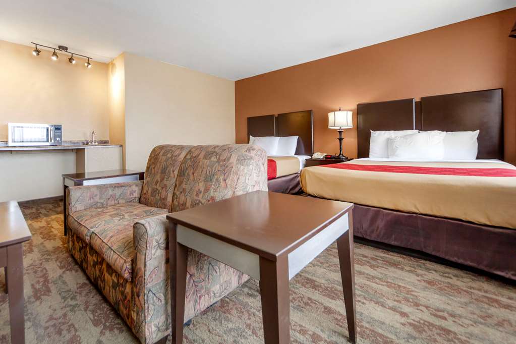 Econo Lodge Black Hills - photo 23