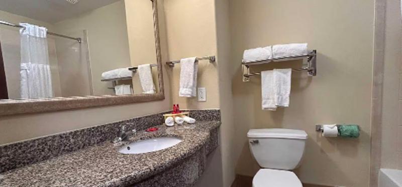 Holiday Inn Express Leesville - photo 9
