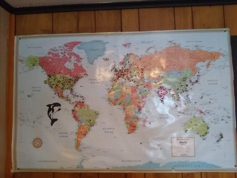 The Orca Inn - photo 17