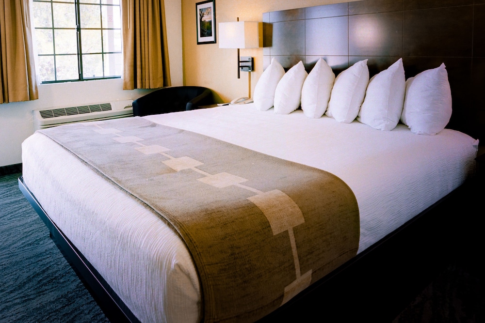 Pines Inn & Suites - photo 13