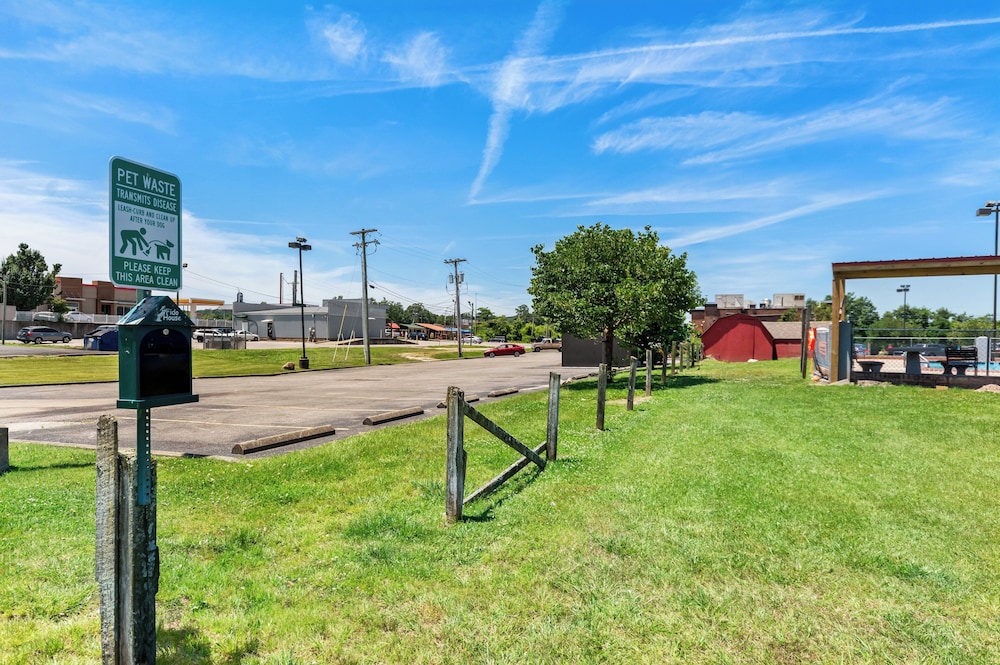 Red Roof Inn Berea - photo 28