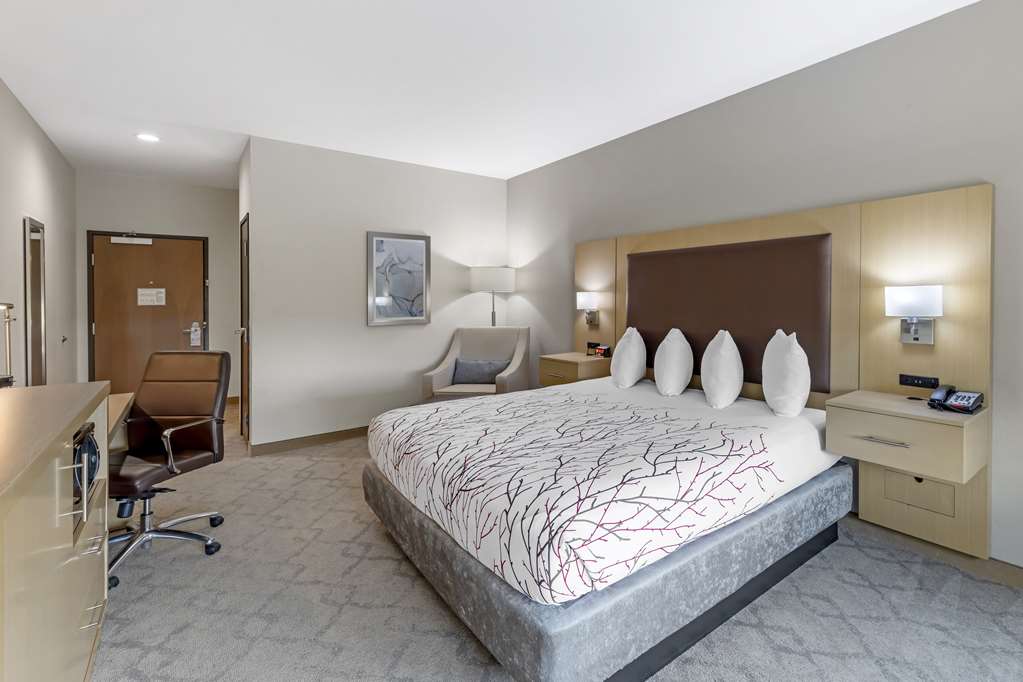 Best Western Plus Chickasha Inn - photo 8
